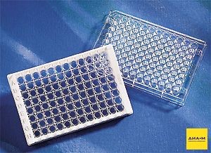  96-., , , 360 , DNA-bind, , ,   2497