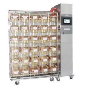      Biosafe IVC Shinva