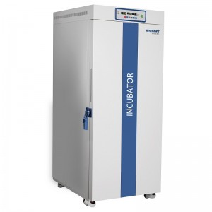    WH-850X Wiggens W6031851