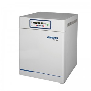    WH-05 Wiggens W6031050