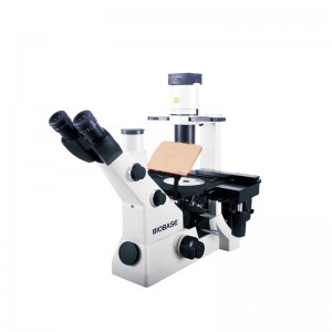    BMI-202 Biobase