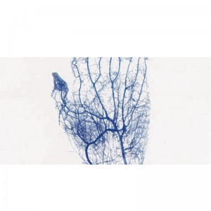   BK-VIA100 Biobase