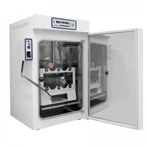      Celrol Mini Wiggens W6110100