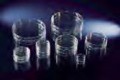     Thermo Scientific 