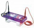    Cleaver Scientific MultiSUB Mini DUO 