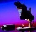  Carl Zeiss Stemi 2000 