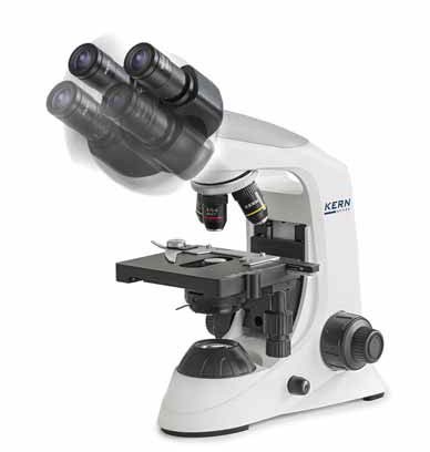   Educational-Line OBE 12/13, Kern & Sohn 