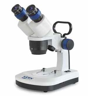  Greenough Educational-Line OSE, Kern & Sohn 