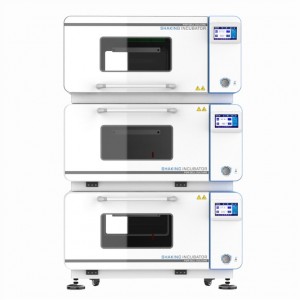 - BSI-1113 Being Instrument