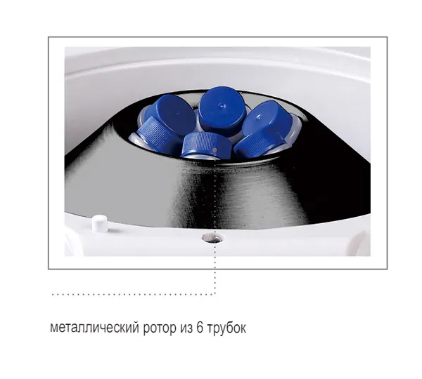  Spinplus Topscien