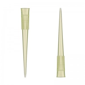  2-200  Joanlab JBC002