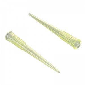  2-200  Joanlab JBC002