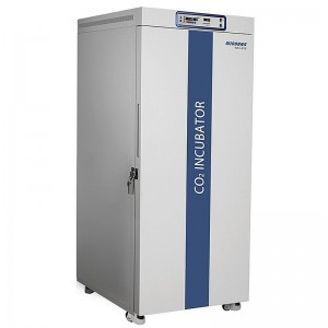 CO2  WCI-650 Wiggens W6011650