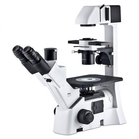    Motic AE 31 
