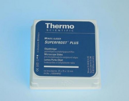   Menzel Superfrost Plus   