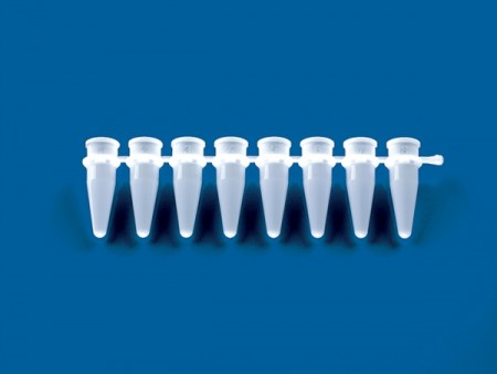   8/12     . , . Plastibrand 