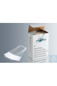   Marienfeld,  ,   1000612