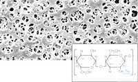 18406--50 ----      (RC) ACN Sartorius 50  |  ( ) ... 18406--50----ACN