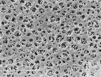 11107-100 ------      (CA) N Sartorius 0,2  | 100    (CA) ... 11107-100------N