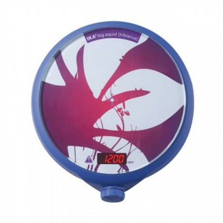   IKA big squid hibiscus   0003857400