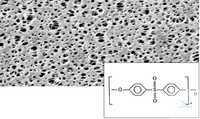 15458--25 ------   N Sartorius Polyethersulfone (PES) 0,1  | 25   ( ) | ... 15458--25------N