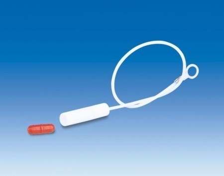       VITLAB, , PE 318597