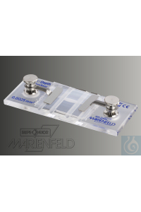 Marienfeld   Neubauer, CE, 0640131