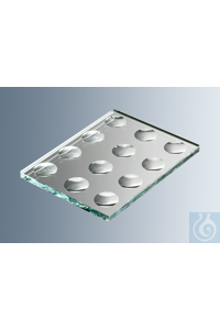 Marienfeld   1406708