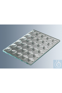 Marienfeld   1406703