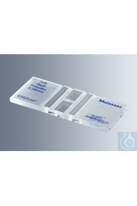 Marienfeld   Malassez, CE, 0640610
