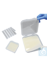 neoLab neoLab Blotting-Behaelter fuer Mini Blots, ,   3  1-1347