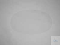   Ekastu Visor  C 607 160315