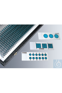 Marienfeld Adhesion  0901100