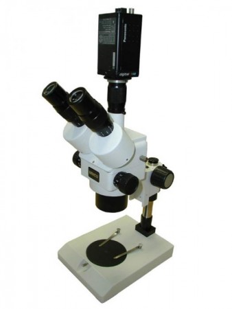   Zoom Unico ZM181T