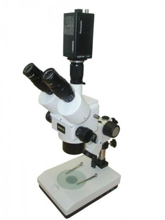  Zoom Unico ZM181HFT