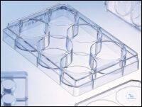 Greiner Bio-One CELL CULTURE MULTIWELL PLATE, 6-, PS, CLEAR, CELLCOAT, , ... 657920