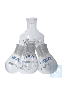 IKA RV 10.607    5   100  (NS 29/32) 0003740900