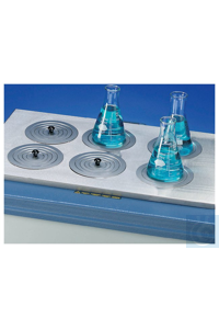 Thermo Scientific       ;  , 6   1546231Q