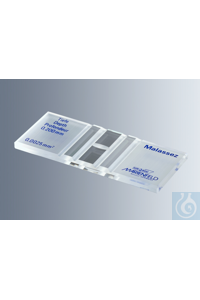 Marienfeld   Malassez, CE, 0640630