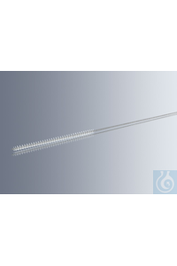    Marienfeld 6205024