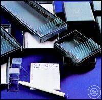 7 131 001    Witeg,  ,   76X26 MM, PS, PIECES SL 7 131 001