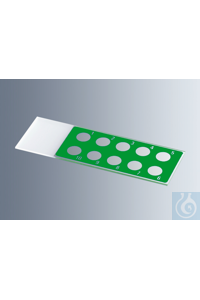     Marienfeld    1216823