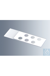     Marienfeld    1215132