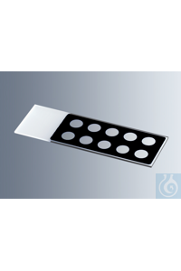     Marienfeld    1216530