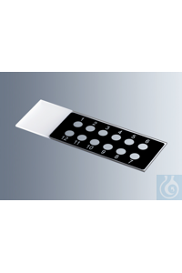     Marienfeld    1216330