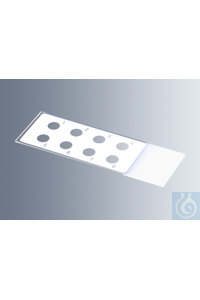    Marienfeld    1216752