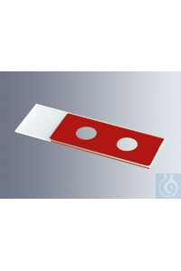     Marienfeld    1215674