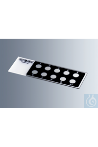     Marienfeld    1216690