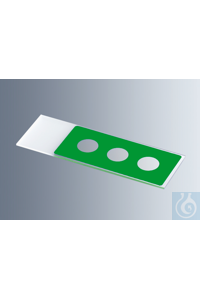     Marienfeld    1216683