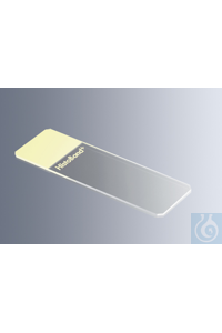 Marienfeld     HistoBond + , 100   0810711